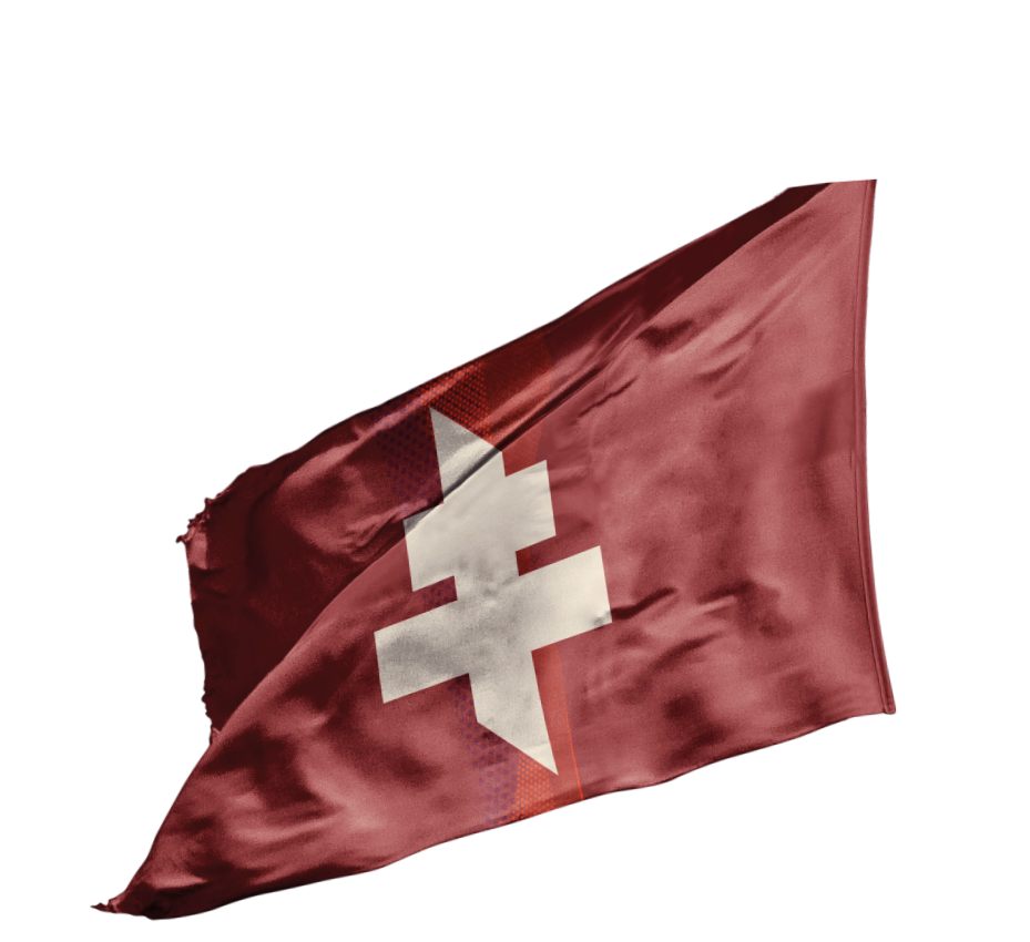 fc metz flag
